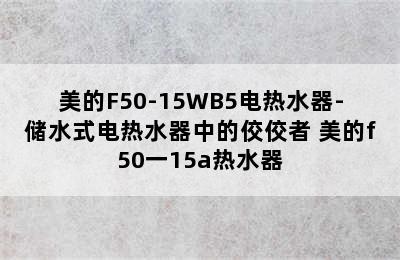 美的F50-15WB5电热水器-储水式电热水器中的佼佼者 美的f50一15a热水器